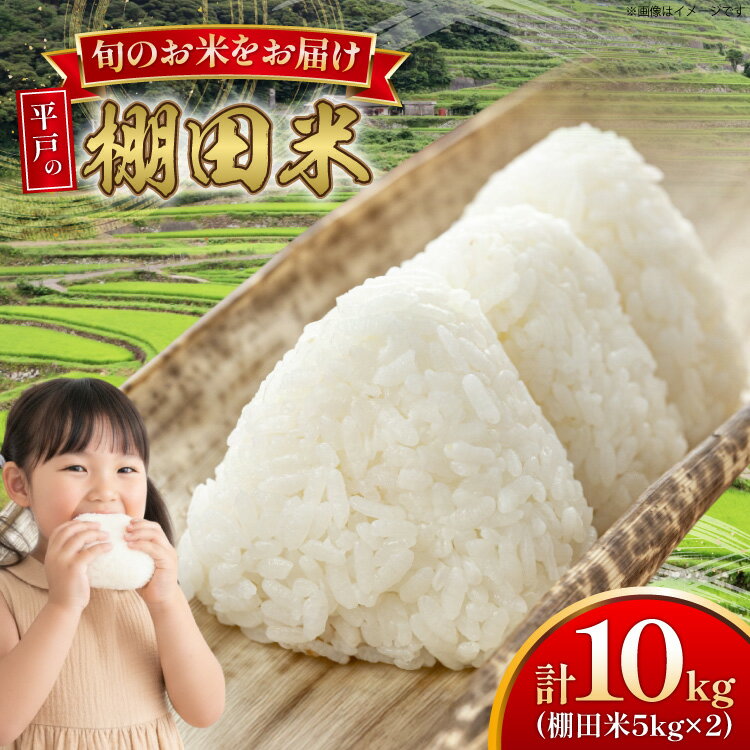 【ふるさと納税】米 令和7年 棚田米 10kg [ひらど新鮮市場 長崎県 平戸市 hr42bgy400202] 令和7年産 コメ こめ ごはん ご飯 こしひかり ひのひかり にこまる なつほのか