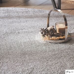 T113(グレー/200×250cm)4色から選べるファブリーズの消臭・抗菌ナイロンラグ ２サイズ展開(グレー/200×250cm)