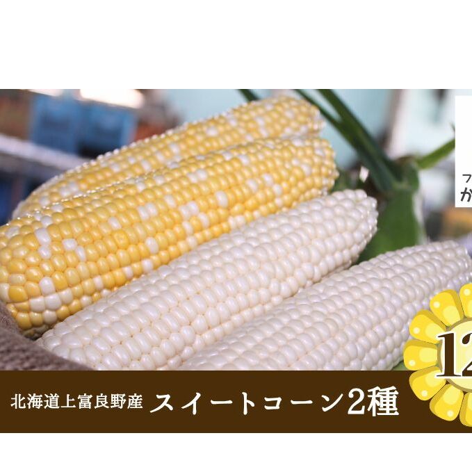 北海道 上富良野 町産 スイートコーン 2種 セット 食べ比べ バイカラー 6本 白色 6本 計12本 野菜 とうもろこし トウモロコシ コーン 産地直送 野菜