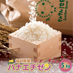 【先行予約】【令和7年産・新米】ハナエチゼン 5kg～坂井市三国町産・こだわりの精米対応～（無洗米）【2025年8月下旬以降順次発送予定】 [A-0255_05]