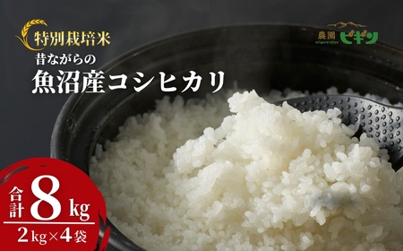 【令和7年】 昔ながらの魚沼産コシヒカリ 精米8kg(2キロ×4) 従来品種 農園ビギン | おこめ 特A評価 小千谷市 コシヒカリ