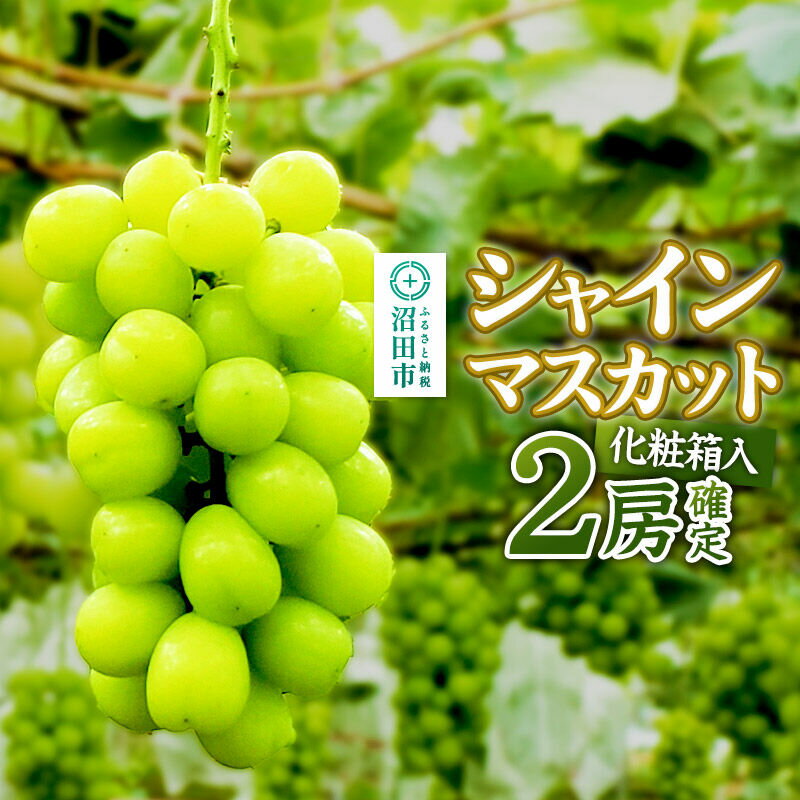 【ふるさと納税】《2026年9月下旬〜10月上旬発送》先行予約 果実の里 原田農園 シャインマスカット 2房（計約1.0kg〜1.4kg）化粧箱入り [葡萄 ぶどう ブドウ しゃいんますかっと]