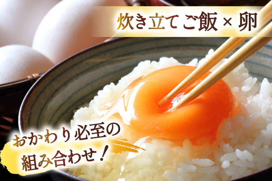 3回 定期便 米 宮城県産 とまたんのひとめぼれ 10kg (5kg×2袋) 総計30kg [サンフレッシュ小泉農園 宮城県 気仙沼市 20566086] ひとめぼれ ブランド米 白米 精米 ご飯 ご
