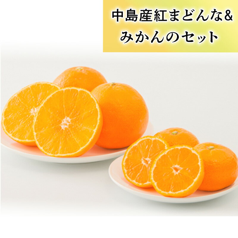【ふるさと納税】 「中島産紅まどんな」と「中島みかん」のセット （ 紅まどんな 柑橘 フルーツ まどんな みかん 愛媛 みかん 紅まどんな 蜜柑 紅まどんな フジ・アグリフーズ ）【FA0332】