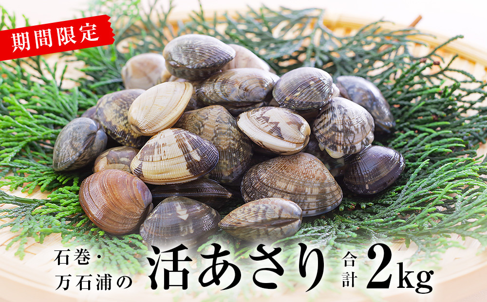 
            石巻・万石浦の活あさり(2kg) アサリ あさり 天然 貝 プリプリ おかず 味噌汁 砂抜き
          