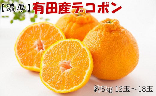 
                  ［お味濃厚］紀州有田産の大玉デコポン約5kg(12玉～18玉入り・青秀以上) ★2027年１月中旬頃より順次発送［TM25］
                