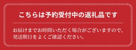 〈予約受付〉2027年発送 予約 中玉すいか 虎太郎西瓜 2玉 夏 風物詩 すいか 甘い すいか2玉 スイカ ジューシー 鈴良農園 愛知県 碧南市 送料無料 H141-016