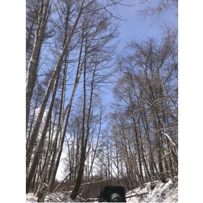 ふるさと納税 早川町 早川ジビエ鹿缶いろいろ3缶セット |  | 01