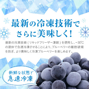 【2026年7月より順次発送】栽培期間中農薬不使用！急速冷凍ブルーベリー 1.2kg 【JAほたるの里】_HA1517 | ベリー フルーツ
