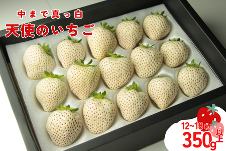 【発送1～4月】天使のいちご　350～400ｇ　白いちご 　【苺】 イチゴ おおきい スイーツ 白い 果物 ふるさと納税 いちご うまい フルーツ 期間限定 人気いちご まるい 甘い いちご 旬 直送 おすすめいちご ストロベリー 苺ジャム いちご 好きのための いちご