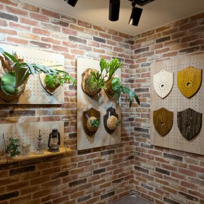 ふるさと納税 あま市 ビカクシダ板　SeamBoard A型　Mサイズ |  | 03