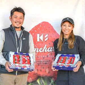 【久米原農園】最高金賞受賞！ 埼玉県 本庄市産 いちご 冷凍 あまりん 1㎏(500g×2) 急速冷凍 フローズン 果物 くだもの フルーツ 苺 イチゴ ストロベリー デザート 食品 小分け 自宅用 