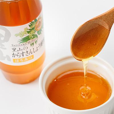 ふるさと納税 津山市 里山のからすさんしょう蜂蜜300g |  | 02