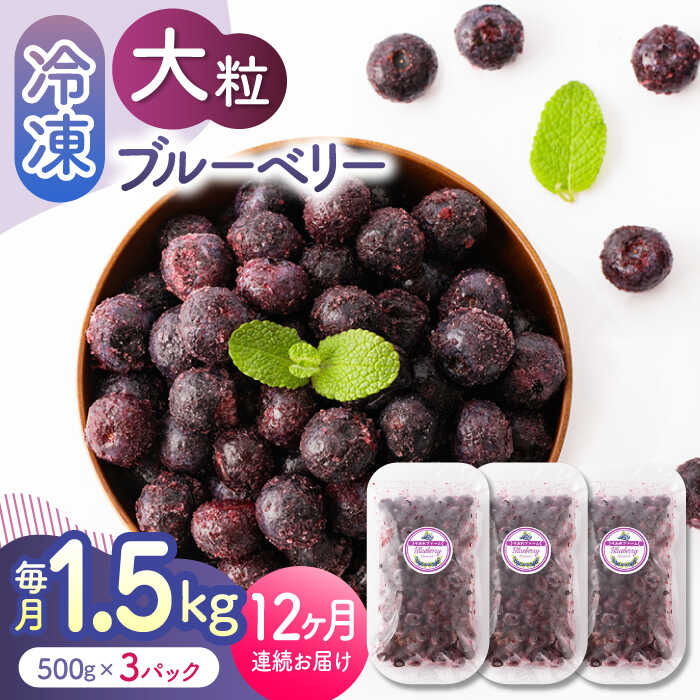 【ふるさと納税】【先行予約】【12回定期便】大粒 冷凍ブルーベリー 約1500g（約500g×3pc） 【すみれファーム】[ZEP015]