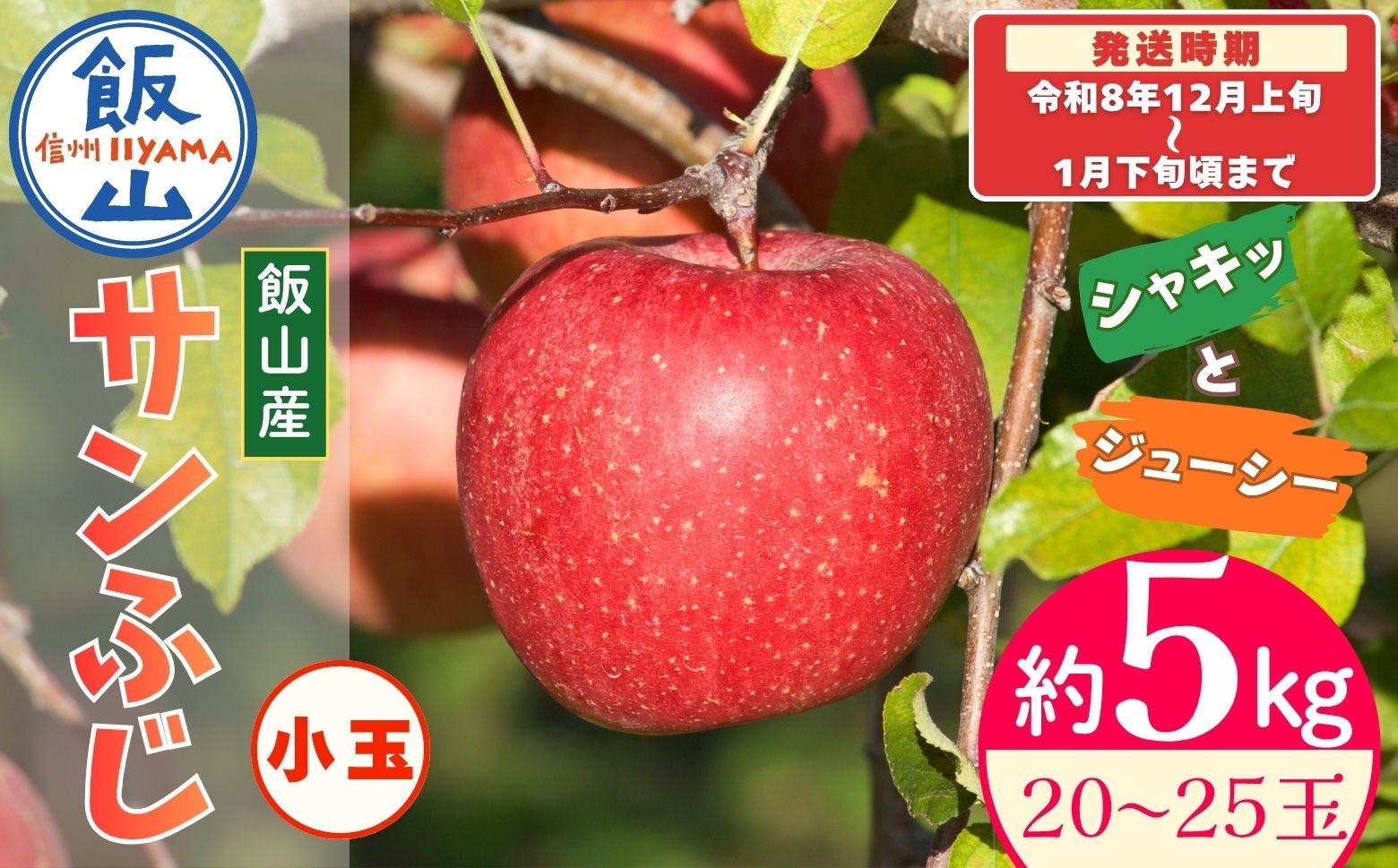 
                  【先行予約丨2026年12月上旬より順次発送】サンふじ 小玉【約5kg(20〜25玉)】丨長野県 飯山市 サンふじ 果物 デザート おやつ おすすめ ランキング おいしい 高評価 大人気 先取り 産地直送 りんご(At-034)
                