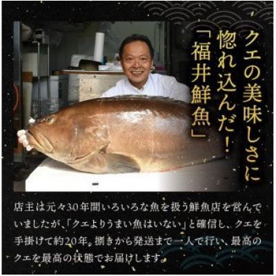 ふるさと納税 北山村 【先行予約】幻のクエ!国産 天然クエ鍋 500g【fki104】 |  | 03