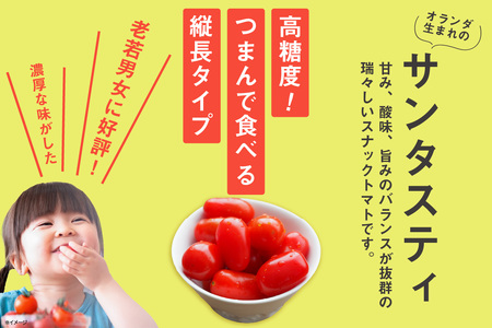 オーガニックミニトマト（サンタスティ）約1.5kg 甘い 濃い 旨味 安心 栄養 リコピン 高糖度 やみつき おやつ 縦長 フルーティー サラダ 有機栽培 化学肥料不使用 オーガニック 野菜 お取り寄