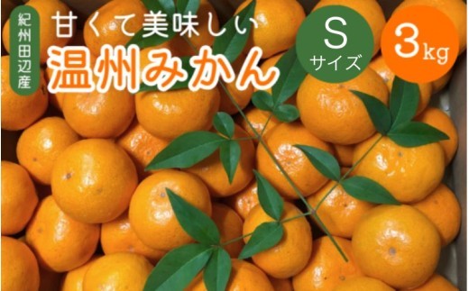 先行予約 紀州田辺産 甘くて美味しい温州みかん3kg※箱込み（Ｓサイズ） ※11月中旬～12月下旬頃に順次発送予定【期間限定・12/10まで】 / 早生みかん 早生 ミカン 柑橘 フルーツ 果物 紀州産 和歌山県【kjt010-3】