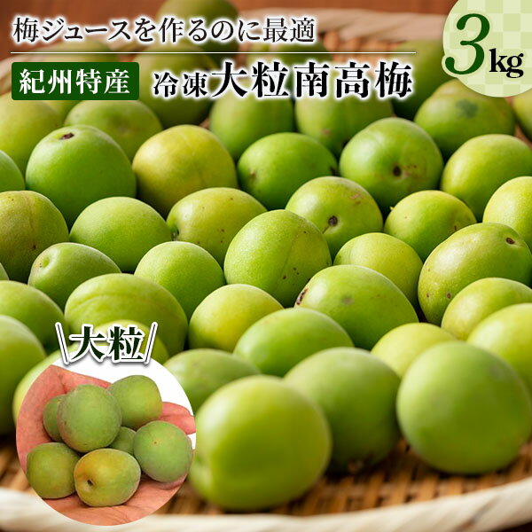 【ふるさと納税】【数量限定】梅ジュースに最適！紀州特産　冷凍南高梅　3kg | 楽天ふるさと 納税 和歌山県 和歌山 那智勝浦町 那智勝浦 支援 支援品 返礼品 うめ 梅 南高梅 梅ジュース 梅酒用 紀州 ご当地 特産品 紀州梅 紀州南高梅 取り寄せ お取り寄せ 梅ジュース用