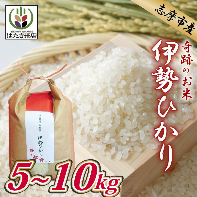 【ふるさと納税】 【選べる】 伊勢ひかり 5kg 10kg お米 白米 精米 米 おすすめ 国産 三重県 志摩市 伊勢 志摩 伊勢奉祝 奇跡のお米 5キロ 10キロ ごはん ご飯 こめ コメ おこめ