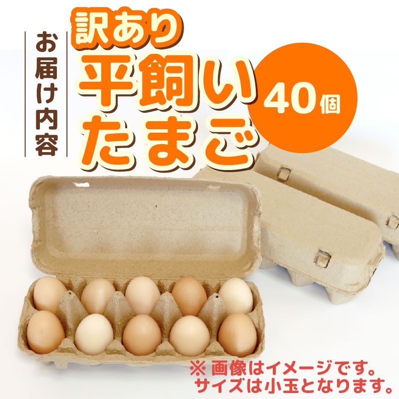 【訳あり】平飼い卵 40個入り (10個×4パック) | たまご 卵 タマゴ 鶏卵 たまごかけごはん 目玉焼き オムレツ 卵かけご飯 たまご焼き おいしい 人気 おすすめ  高知県 南国市
