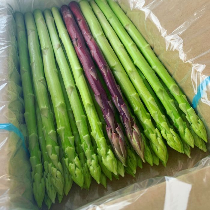 アスパラ王子が育てた自慢のアスパラ「Lサイズ」1kg（さぬきのめざめ　おおもりや）【予約受付：令和8年4月頃より頃より御用意出来次第発送】【H-54】