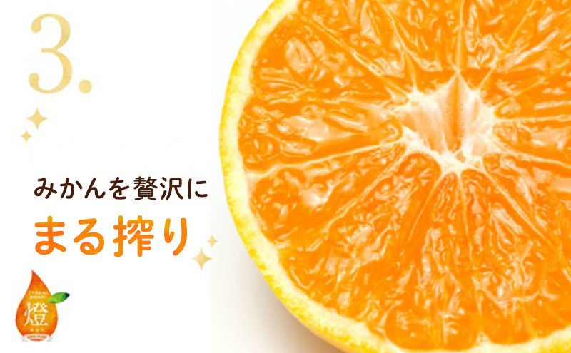 三ヶ日みかん生搾りジュース燈（あかり）【180ml×6本入】 みかん ジュース 濃厚 三ヶ日みかん青島 生搾り 100%ジュース 静岡 浜松市