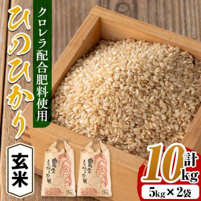 ふるさと納税 出水市 【玄米】クロレラ米(ひのひかり)10kg_I872-B
