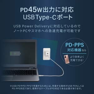 Owltech(オウルテック) GaN(窒化ガリウム)採用 USB Type-C×1 USB Type-A×1 最大PD45W出力 コンパクト2ポートAC充電器 OWL-APD45C1A1G-BK ブ