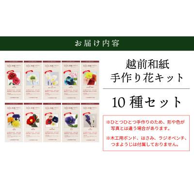 ふるさと納税 越前町 越前和紙で手作り花のキット　10種(図解説明書にはQRコード動画付き) |  | 03
