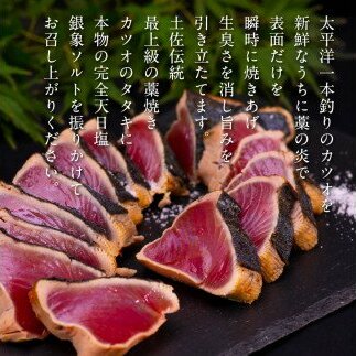 t080kgp　《6ヵ月定期便》数量限定 人気海鮮 芸西村厳選1本釣り本わら焼き「田野屋銀象シリーズ 極 カツオのたたき（6～7人前）完全天日塩付（田野屋銀象ソルト）」〈高知県・土佐市共通返礼品〉かつ