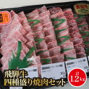 【ふるさと納税】AB-53 　A5飛騨牛　四種盛り焼肉セット計1.2kg