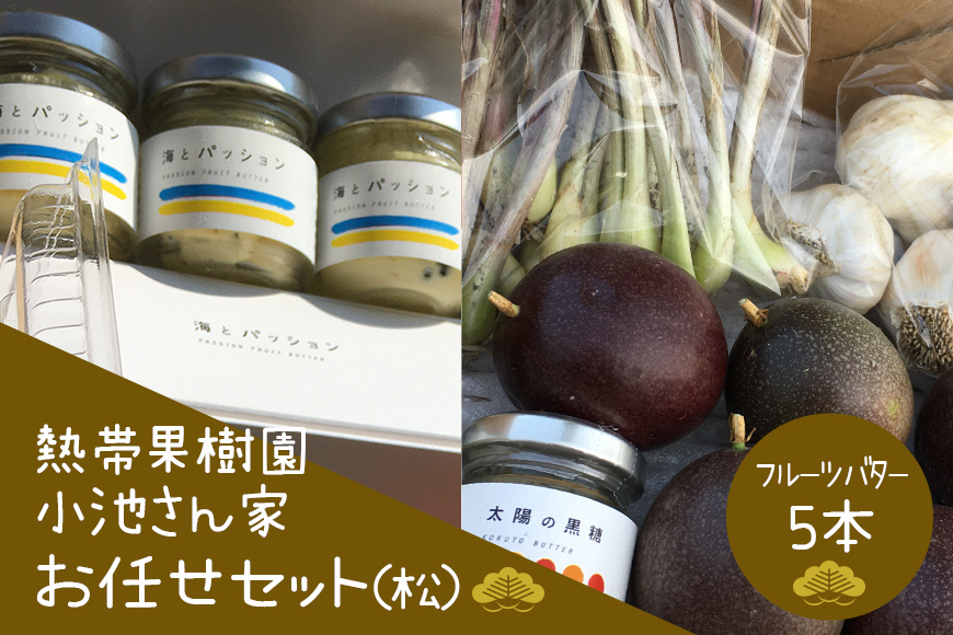 【2026年発送】熱帯果樹園小池さん家　お任せセット（松） 126-3