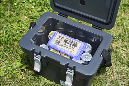 【10個セット】ＨＵＧＥＬ　氷点下保冷剤　超低温タイプ　HHCS-300