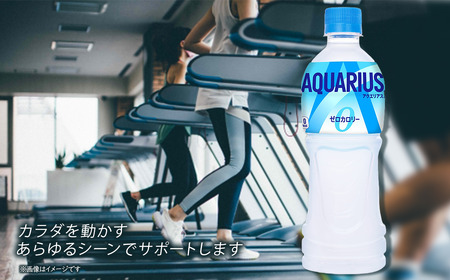 アクエリアスゼロ 500mlPET 24本入り  1ケース