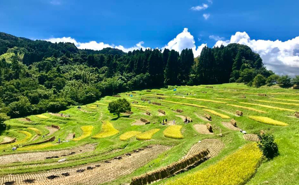 おいしいお米を作りながら、里山の景観を保全する活動です。