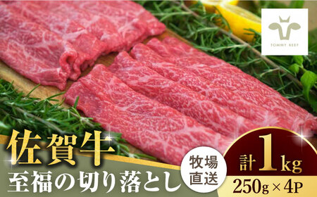 【牧場直送】佐賀牛切り落とし 計1kg（250g×4袋）/ 佐賀牛 牛肉 切り落とし ロース モモ カタ バラ 赤身 すき焼き しゃぶしゃぶ 小分け / 佐賀県 / 有限会社佐賀セントラル牧場 [41ASAA021]