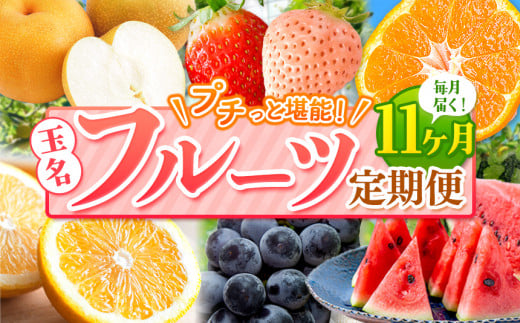 【 定期便 11回 】 プチっと 堪能 ！ 人気 フルーツ | 赤いちご 白いちご みかん 不知火 デコポン スイカ ぶどう 梨 太秋柿 果物 くだもの 定期便 11回 熊本県 玉名市