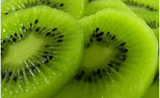 和歌山の下津で採れたキウイフルーツ約3.6kg（玉数おまかせ・秀品）★2026年１月中旬頃より順次発送［TM111］