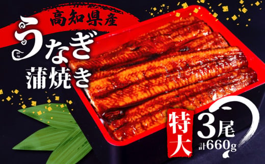 高知県産 うなぎ 蒲焼 220g×3尾 セット 養殖 鰻 うなぎ 蒲焼き かば焼き かばやき 惣菜 冷凍 真空パック 簡単調理 ME0062