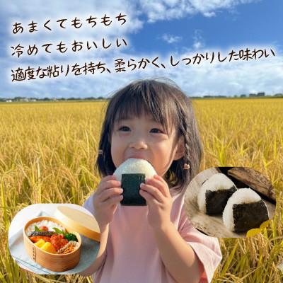 ふるさと納税 佐渡市 佐渡　川上農産のコシヒカリ 精米　4kg(2kg×2袋) |  | 02