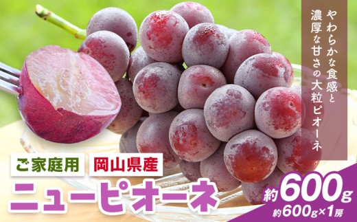 【2026年先行予約】岡山県産 ご家庭用 ニューピオーネ詰合せ 計600g 株式会社はちや《2026年8月下旬-9月下旬頃出荷》岡山県 浅口市 ぶどう 葡萄 フルーツ ギフト 果物 デザート 国産 送料無料【配送不可地域あり】