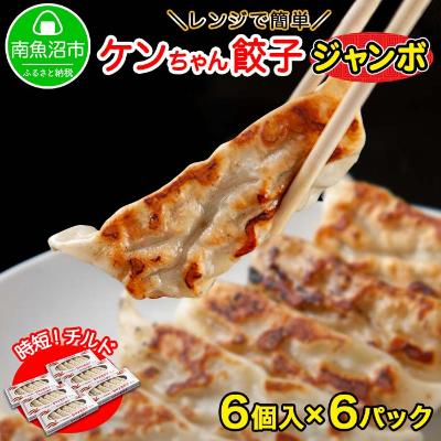 ふるさと納税 南魚沼市 新潟県 南魚沼市 チルドジャンボ餃子 6個入り × 6パック 計36個 ケンちゃん餃子