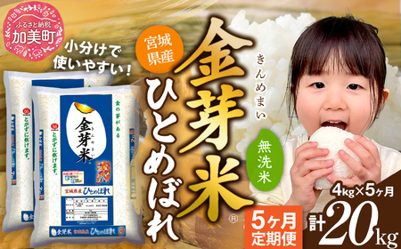 金芽米 定期便4kg×5回 金芽米