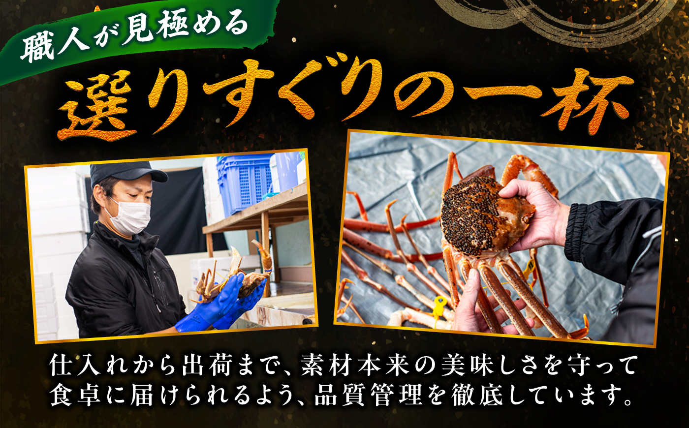 【先行予約/11月18日より順次配送】【訳あり】越前がに 700g×2杯 茹で 福井県産ズワイガニ 脚折れ・欠け / かに カニ 蟹 越前ガニ ズワイガニ ボイル / 小浜市 / 一進わかさ【配送不可