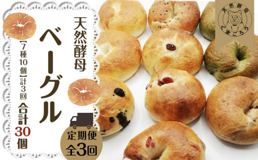 【定期便3回】天然酵母のベーグル (7種類 計10個)×3回 計30個 パン
