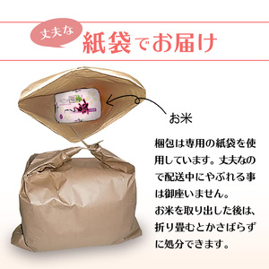 令和7年産　普通精米　福岡県産夢つくし 10kg_Gr030