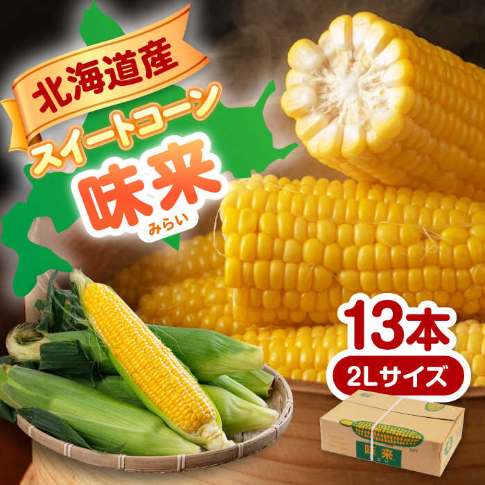 【ふるさと納税】先行予約 とうもろこし 味来 約 4.5kg ( 2L サイズ×13本 ) 《喜茂別町》【Aコープようてい】 とうもろこし トウモロコシ スイートコーン 季節の野菜 夏野菜 野菜 先行予約 産地直送 北海道 朝採れ [AJAK006] 11000 11000円