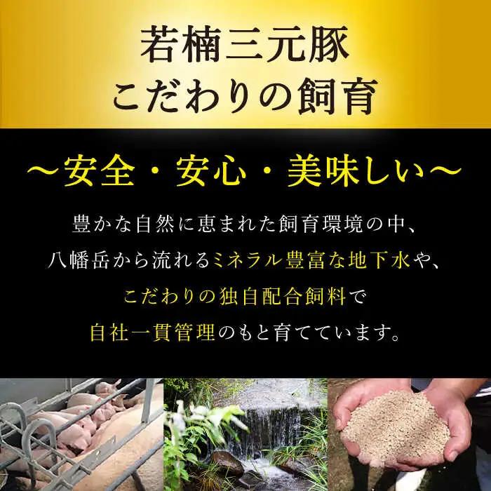 佐賀牛 若楠三元豚 ハンバーグ 食べ比べセット 計8個 /ナチュラルフーズ [UBH051] ハンバーグ
