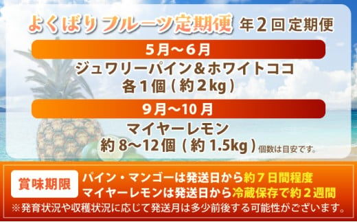 《年2回発送》島のおいしいを贅沢に！パイナップル2種食べ比べと青切りマイヤーレモンのよくばり定期便！ TF-065-t02